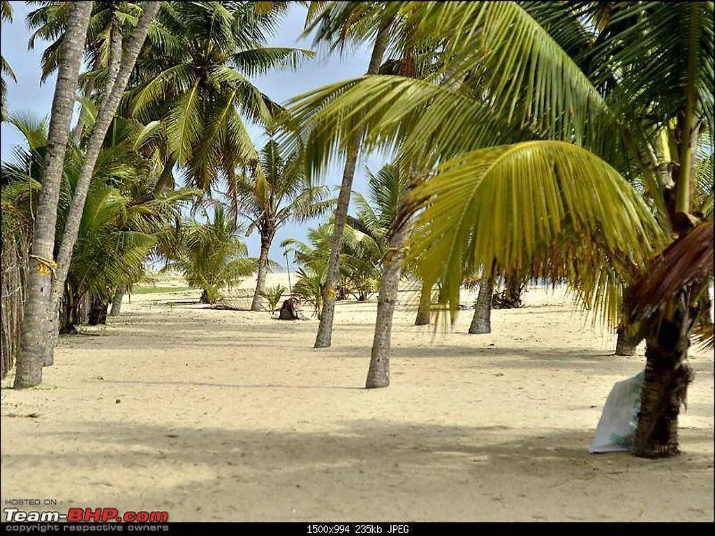 **** Resort Abad Turtle Beach Mararikulam India
